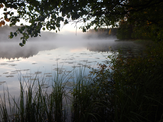 Kesäyö Syväjärvellä